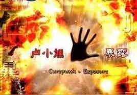 暴露(卢小旭)
